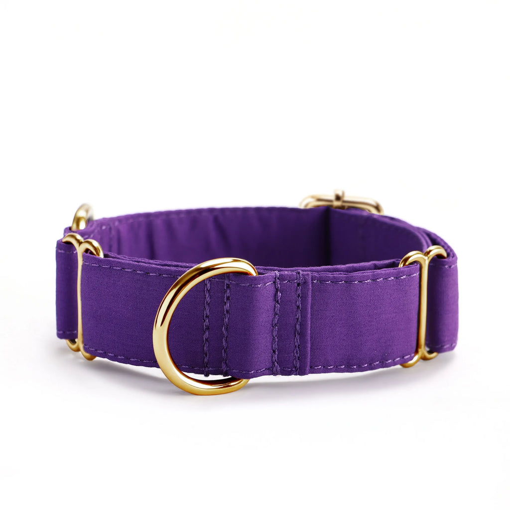 100% Cotton Martingale Dog Collar Gold Purple Tornado front