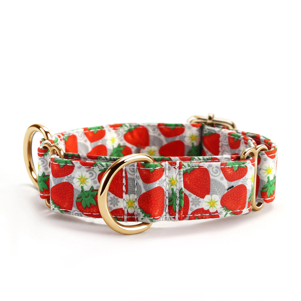 100% Cotton Martingale Dog Collar Gold Dancing Strawberries front