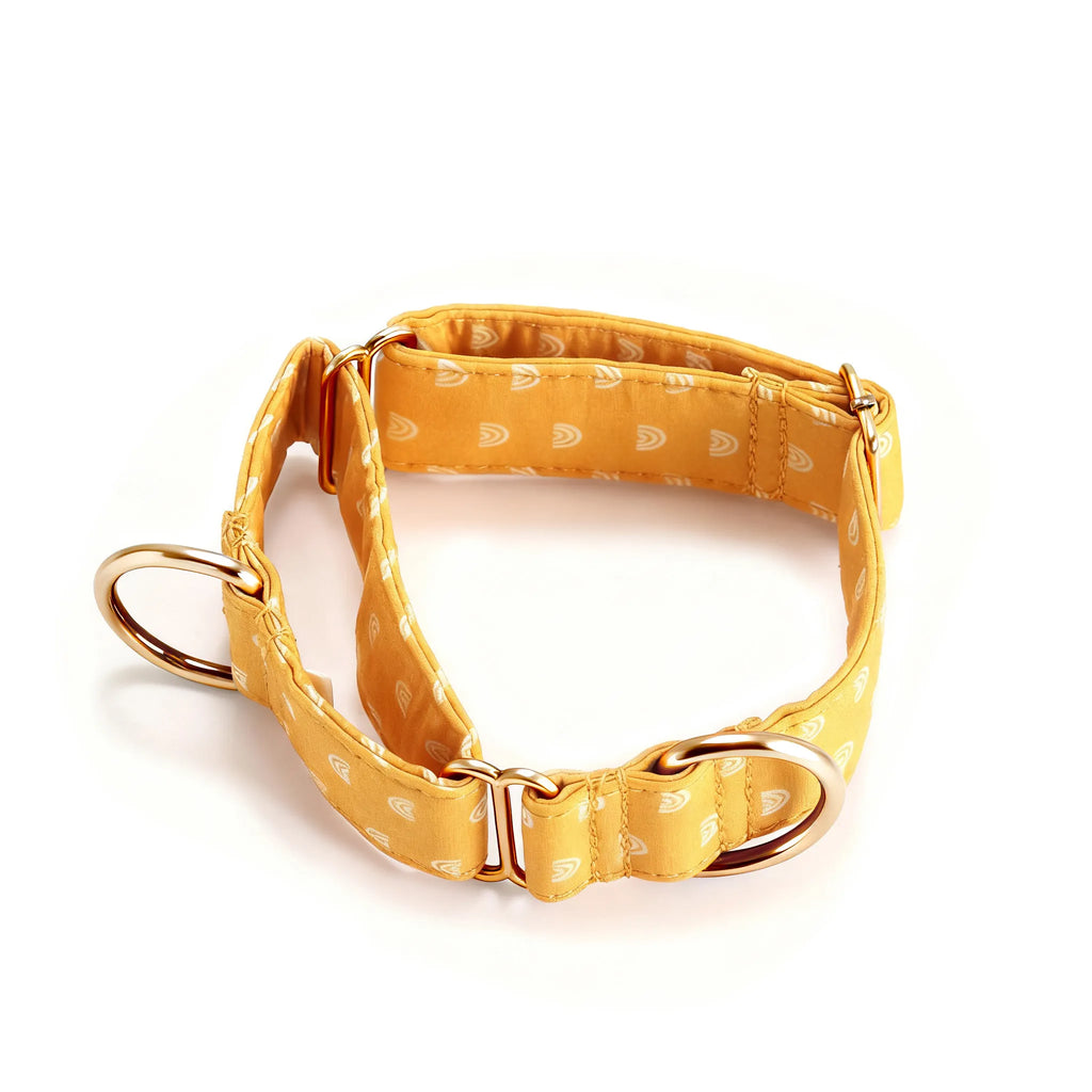 100% Cotton Martingale Dog Collar Gold Hobo Rainbow main