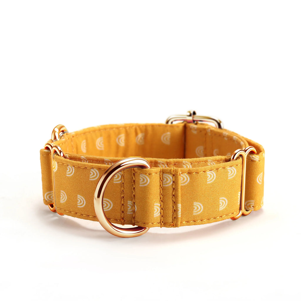 100% Cotton Martingale Dog Collar Gold Hobo Rainbow front