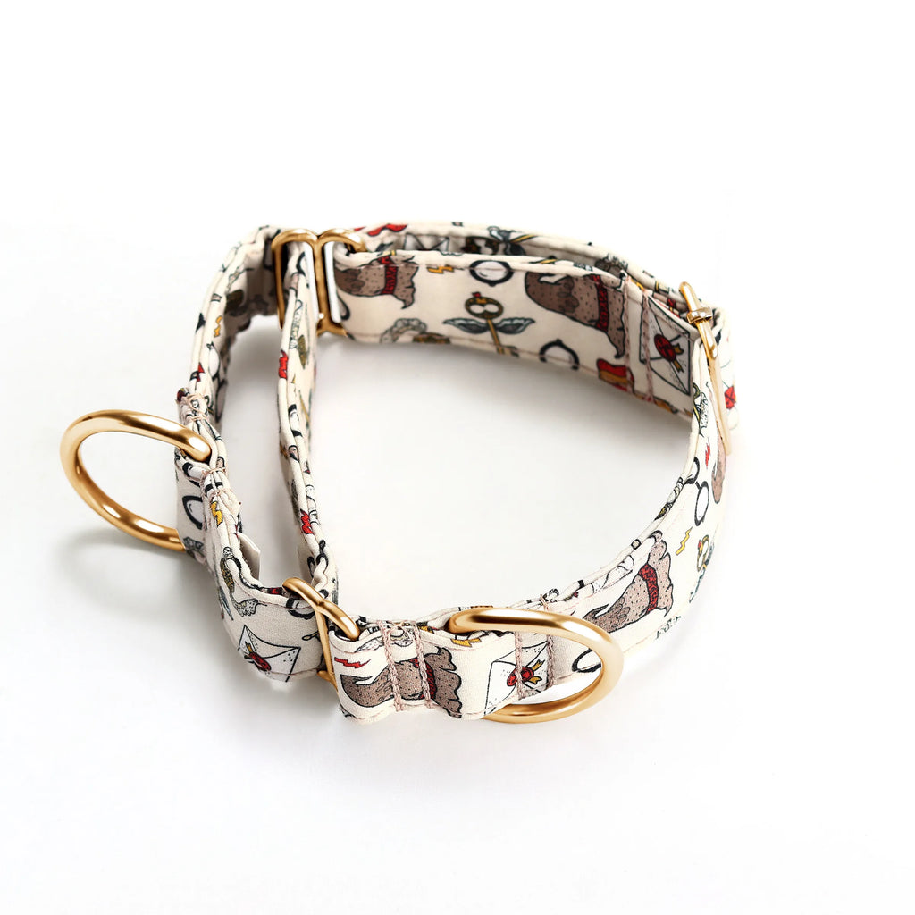 100% Cotton Martingale Dog Collar Gold Wizard School main