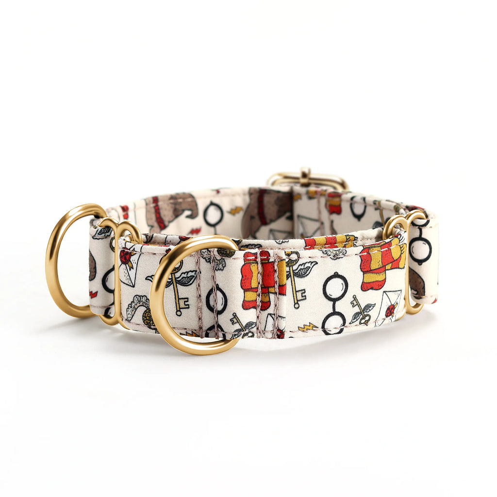 100% Cotton Martingale Dog Collar Gold Wizard School front