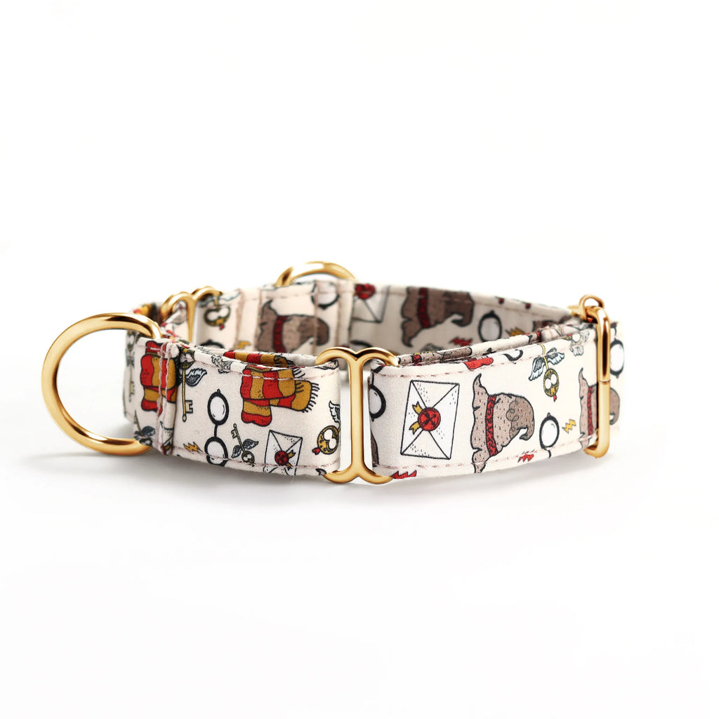 100% Cotton Martingale Dog Collar Gold Wizard School side