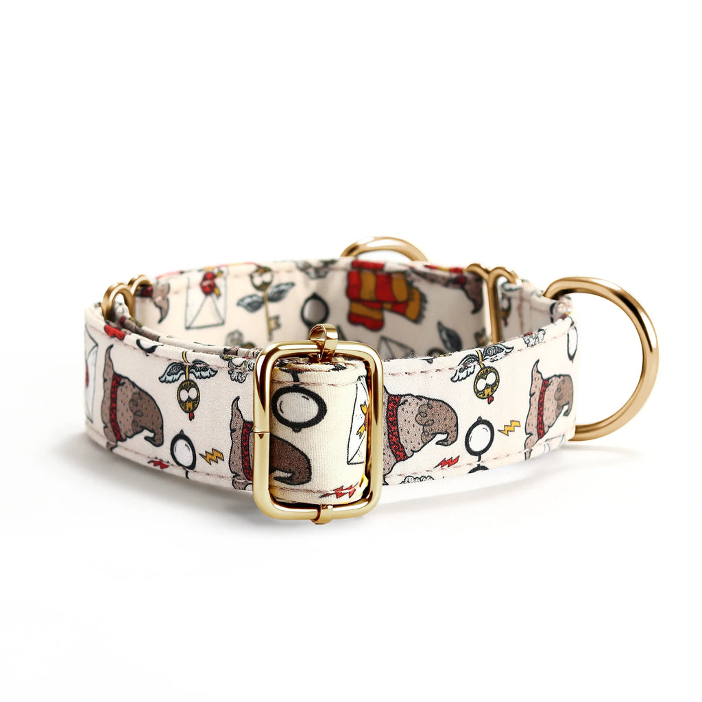 100% Cotton Martingale Dog Collar Gold Wizard School back