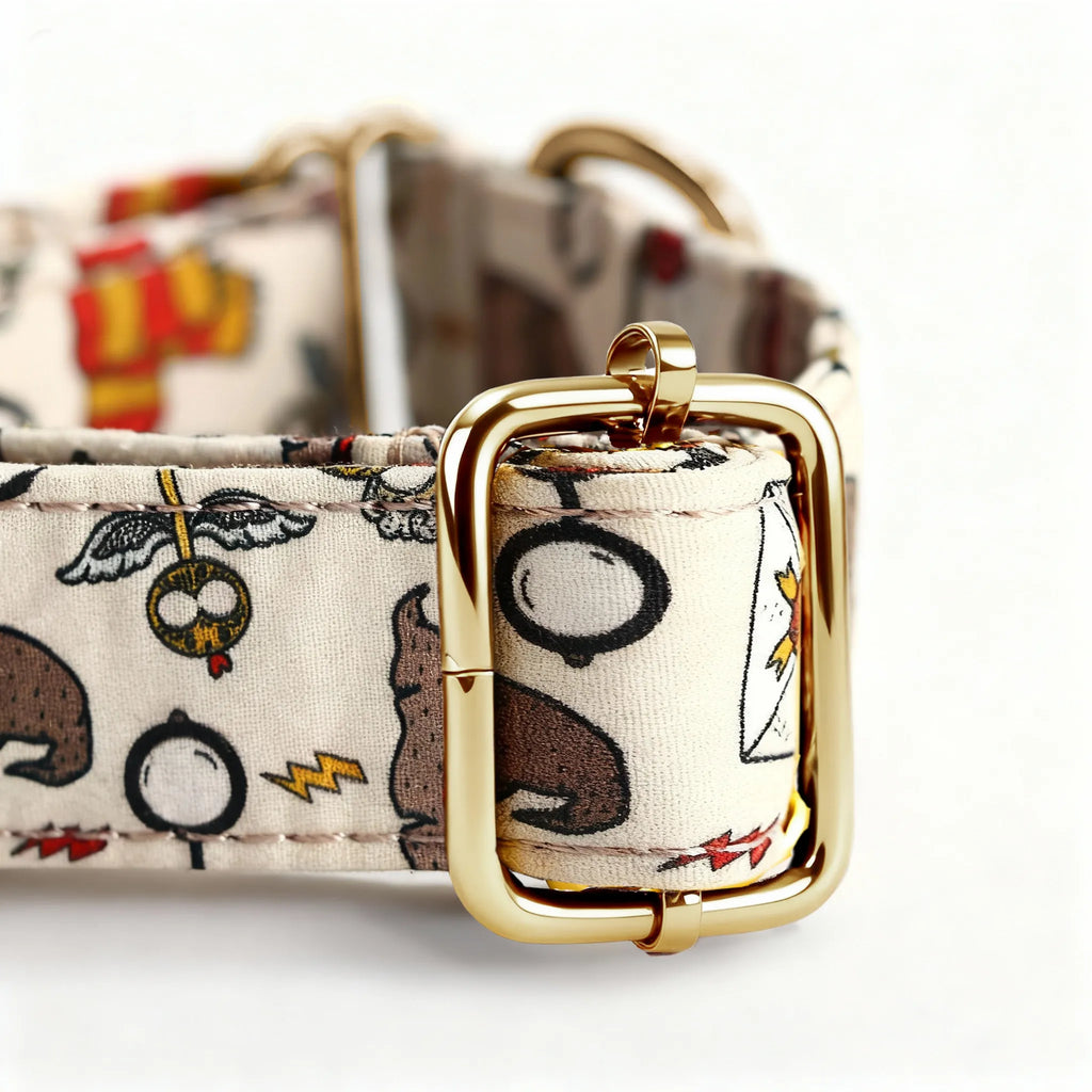 100% Cotton Martingale Dog Collar Gold Wizard School hardware