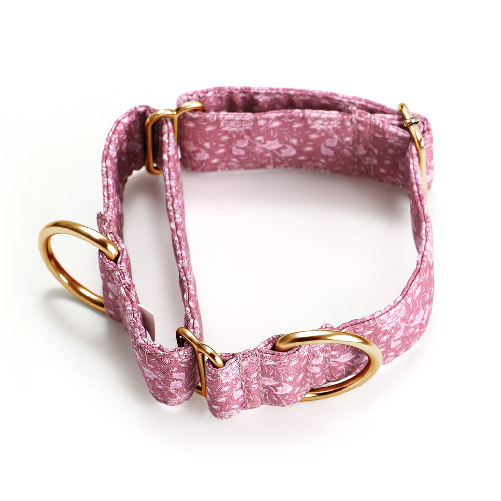 100% Cotton Martingale Dog Collar Gold Wild Tulip main