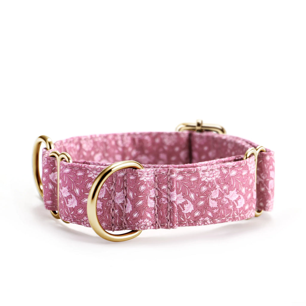 100% Cotton Martingale Dog Collar Gold Wild Tulip front