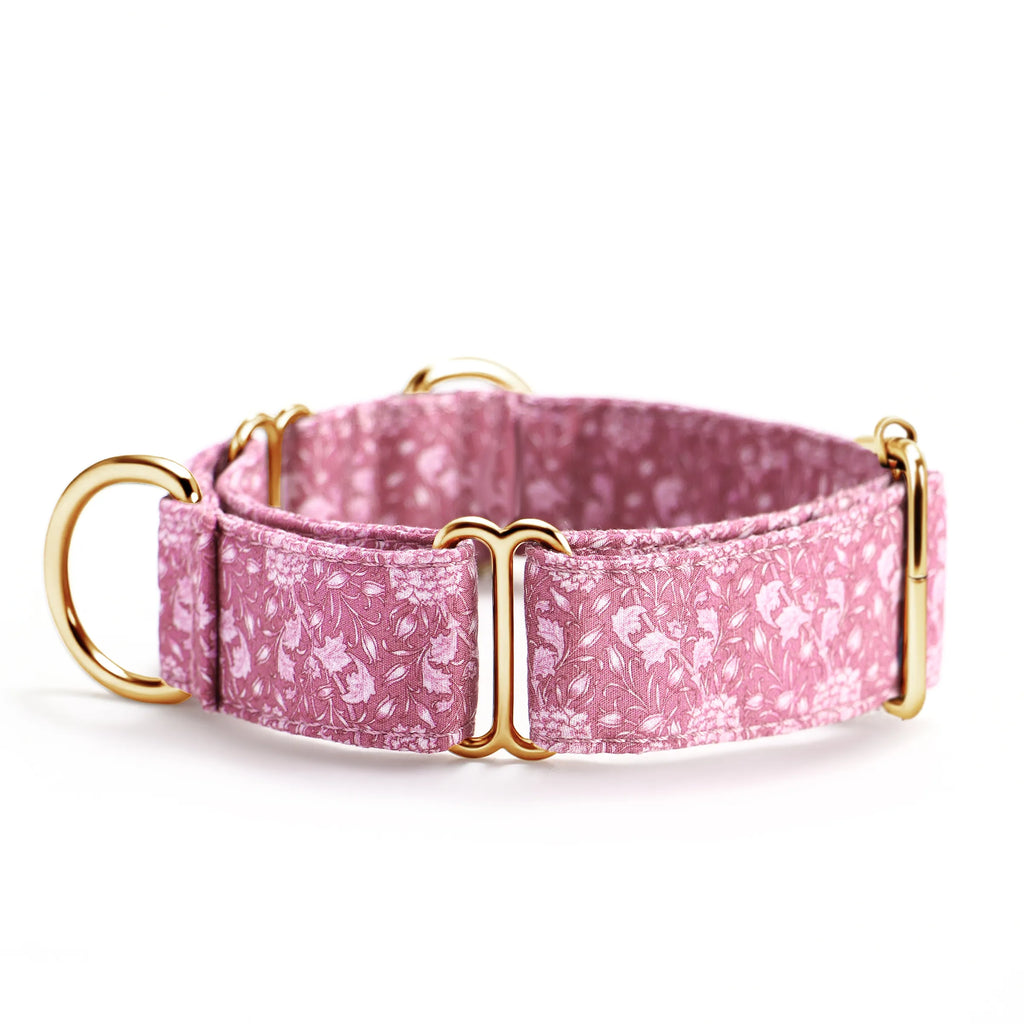 100% Cotton Martingale Dog Collar Gold Wild Tulip side
