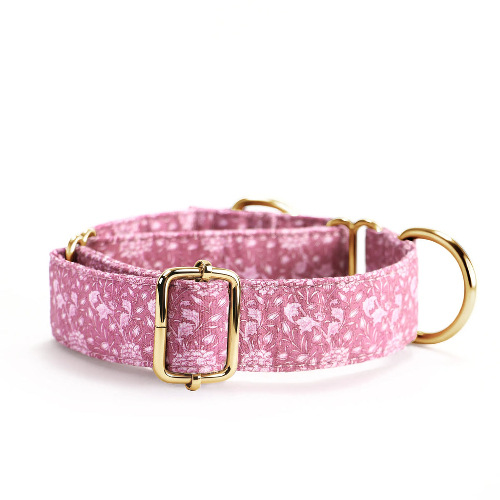 100% Cotton Martingale Dog Collar Gold Wild Tulip back