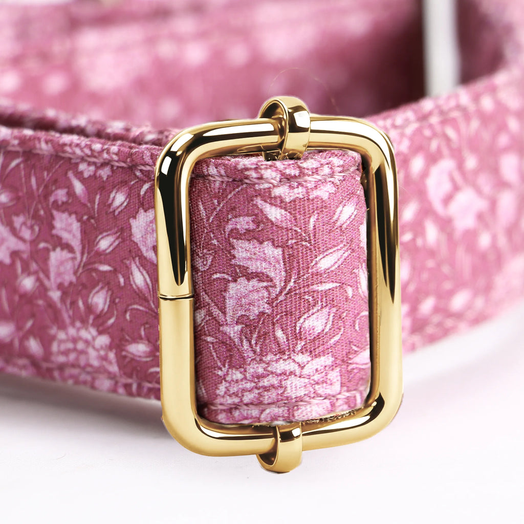 100% Cotton Martingale Dog Collar Gold Wild Tulip hardware