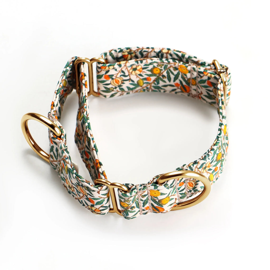 100% Cotton Martingale Dog Collar Gold Pomegranate main