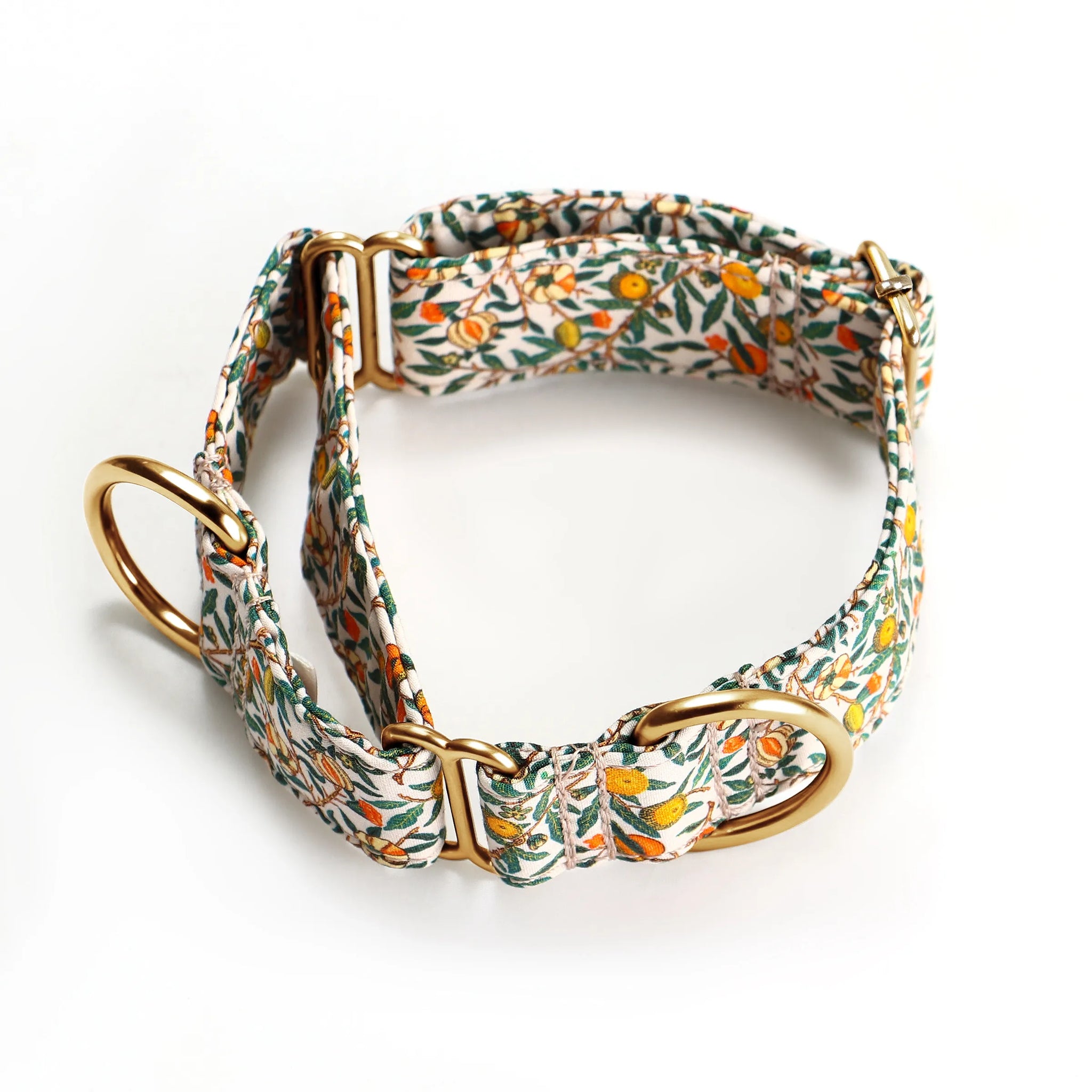 Martingale Dog Collars For Comfort - Angieandallie