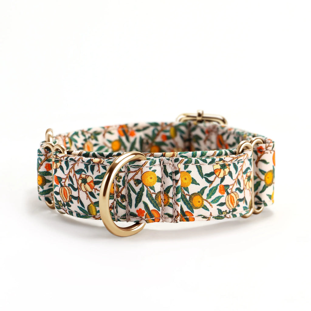 100% Cotton Martingale Dog Collar Gold Pomegranate front