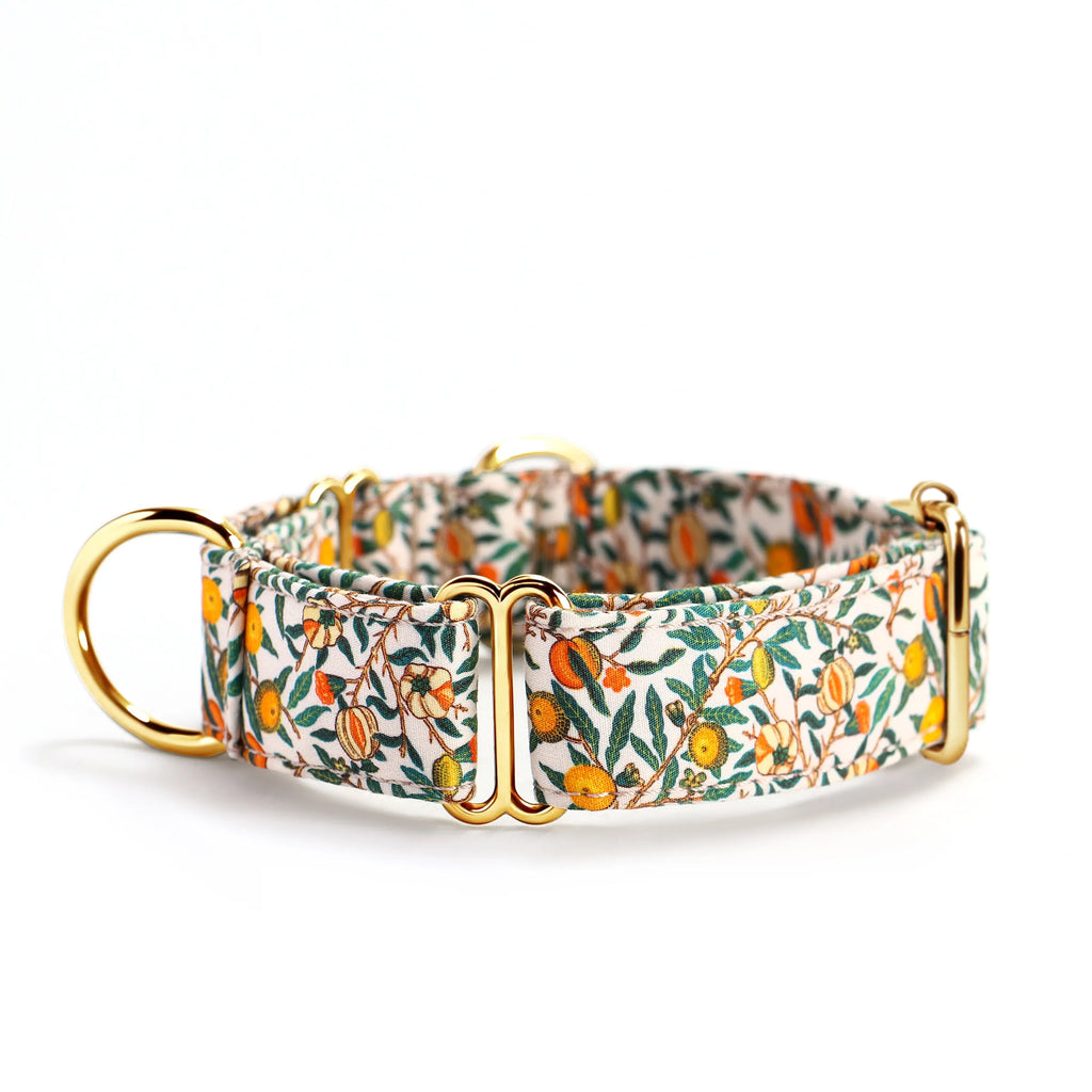 100% Cotton Martingale Dog Collar Gold Pomegranate side