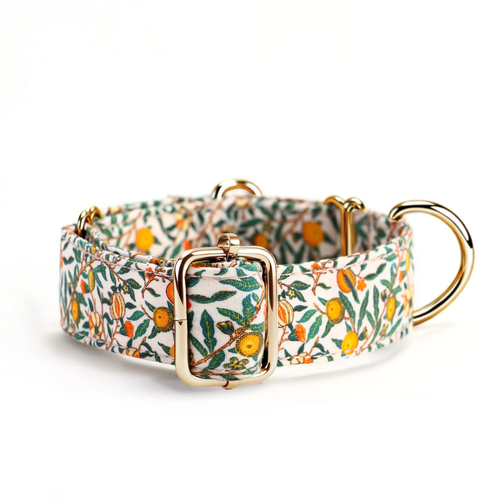 100% Cotton Martingale Dog Collar Gold Pomegranate back