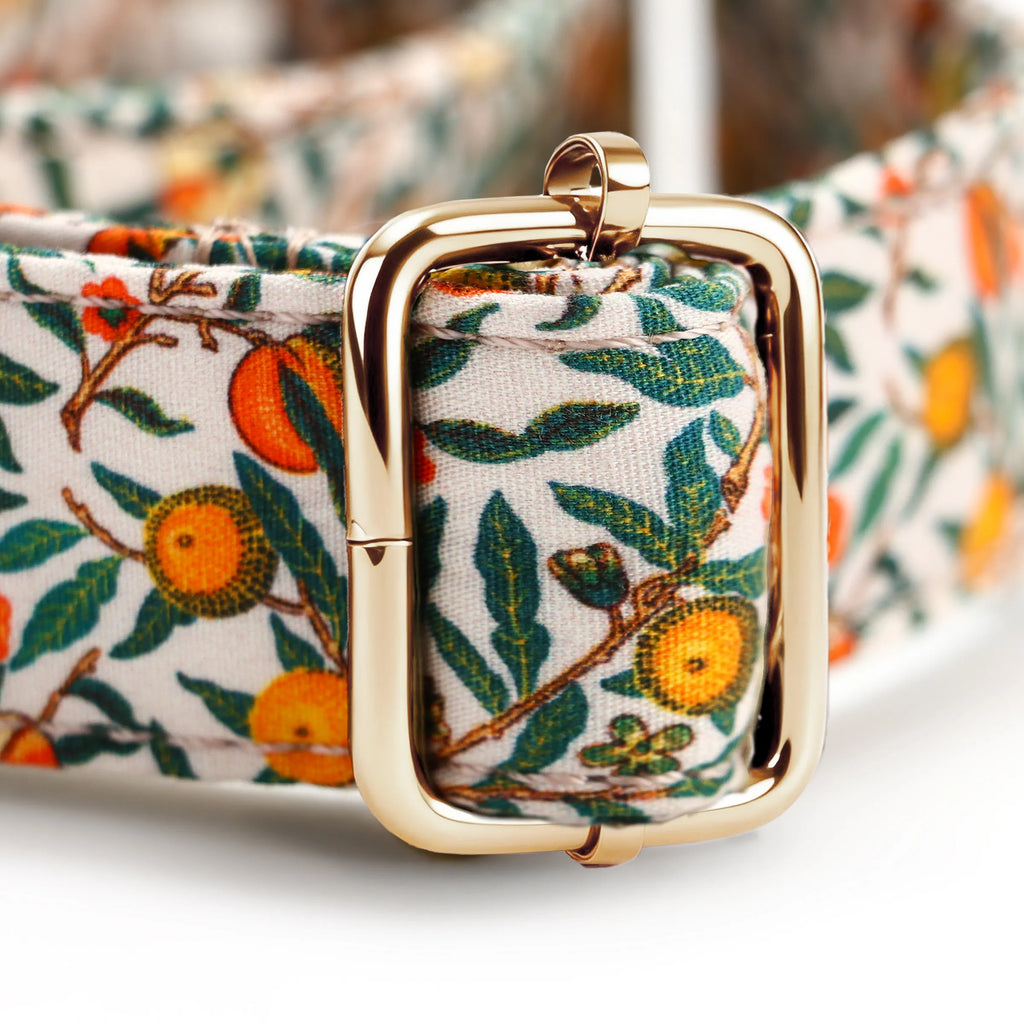 100% Cotton Martingale Dog Collar Gold Pomegranate hardware