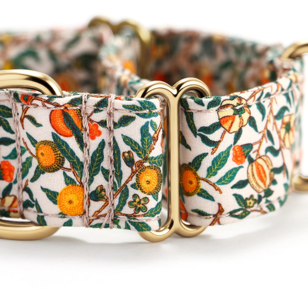 100% Cotton Martingale Dog Collar Gold Pomegranate detail