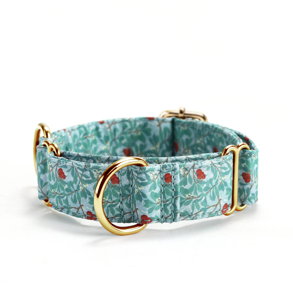 100% Cotton Martingale Dog Collar Gold Arbutus front