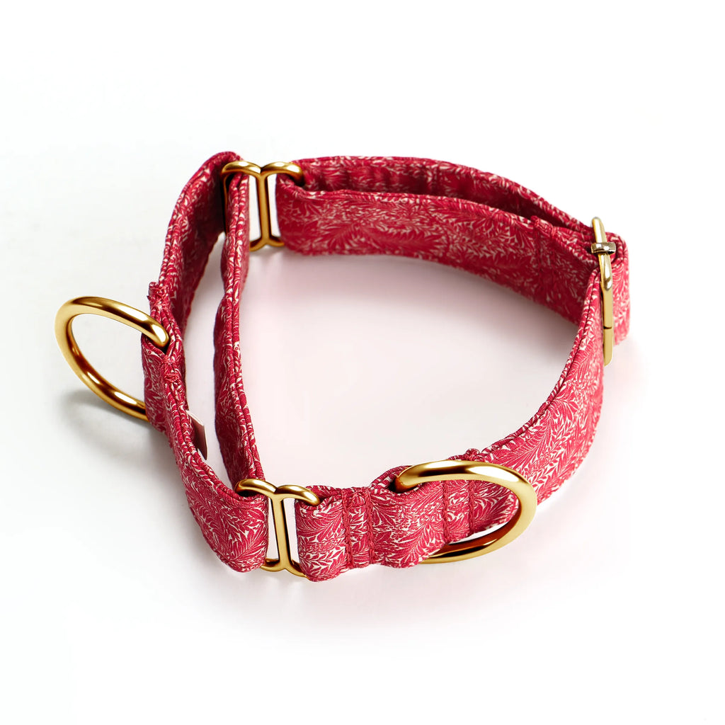 100% Cotton Martingale Dog Collar Gold Larkspur main