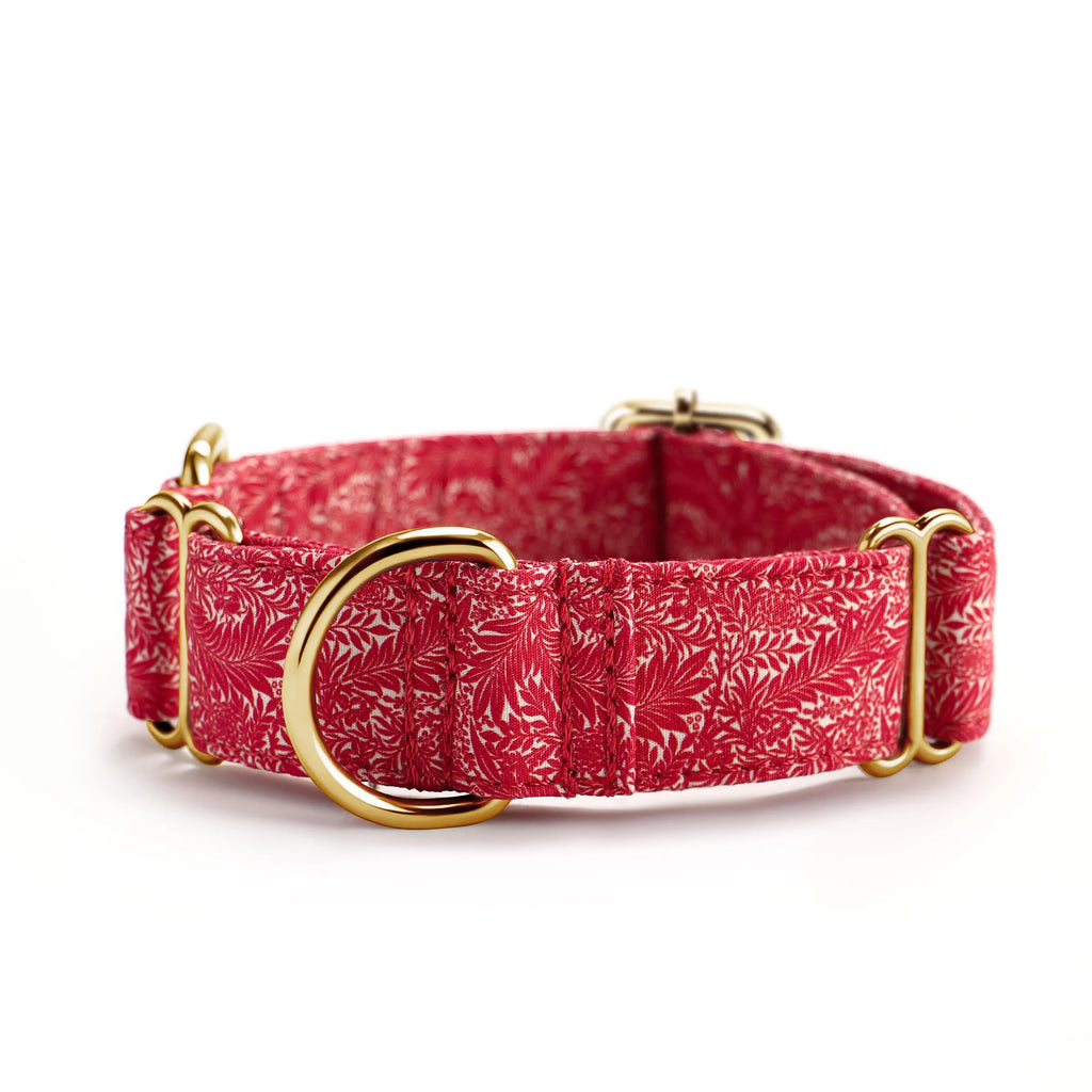 100% Cotton Martingale Dog Collar Gold Larkspur front
