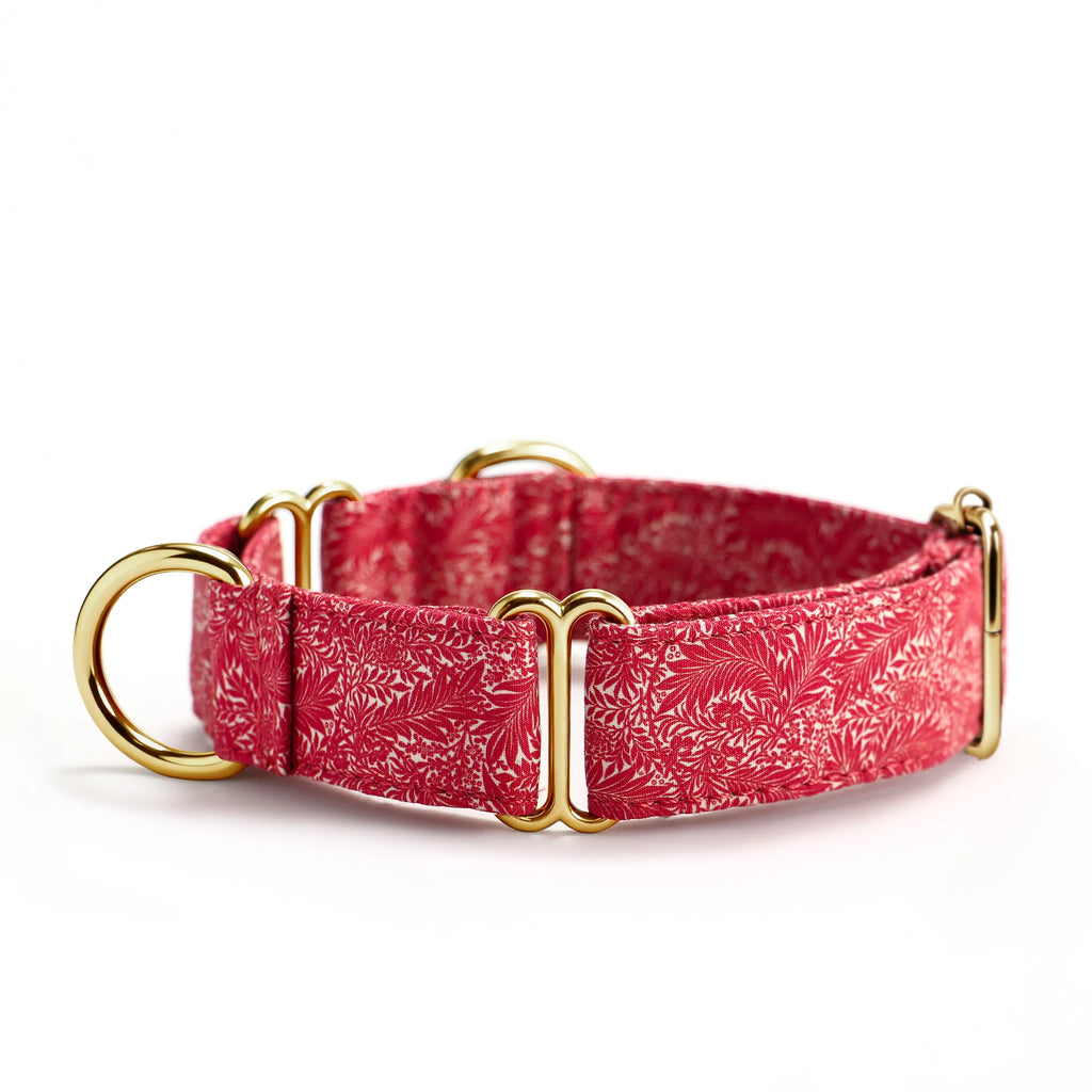 100% Cotton Martingale Dog Collar Gold Larkspur side