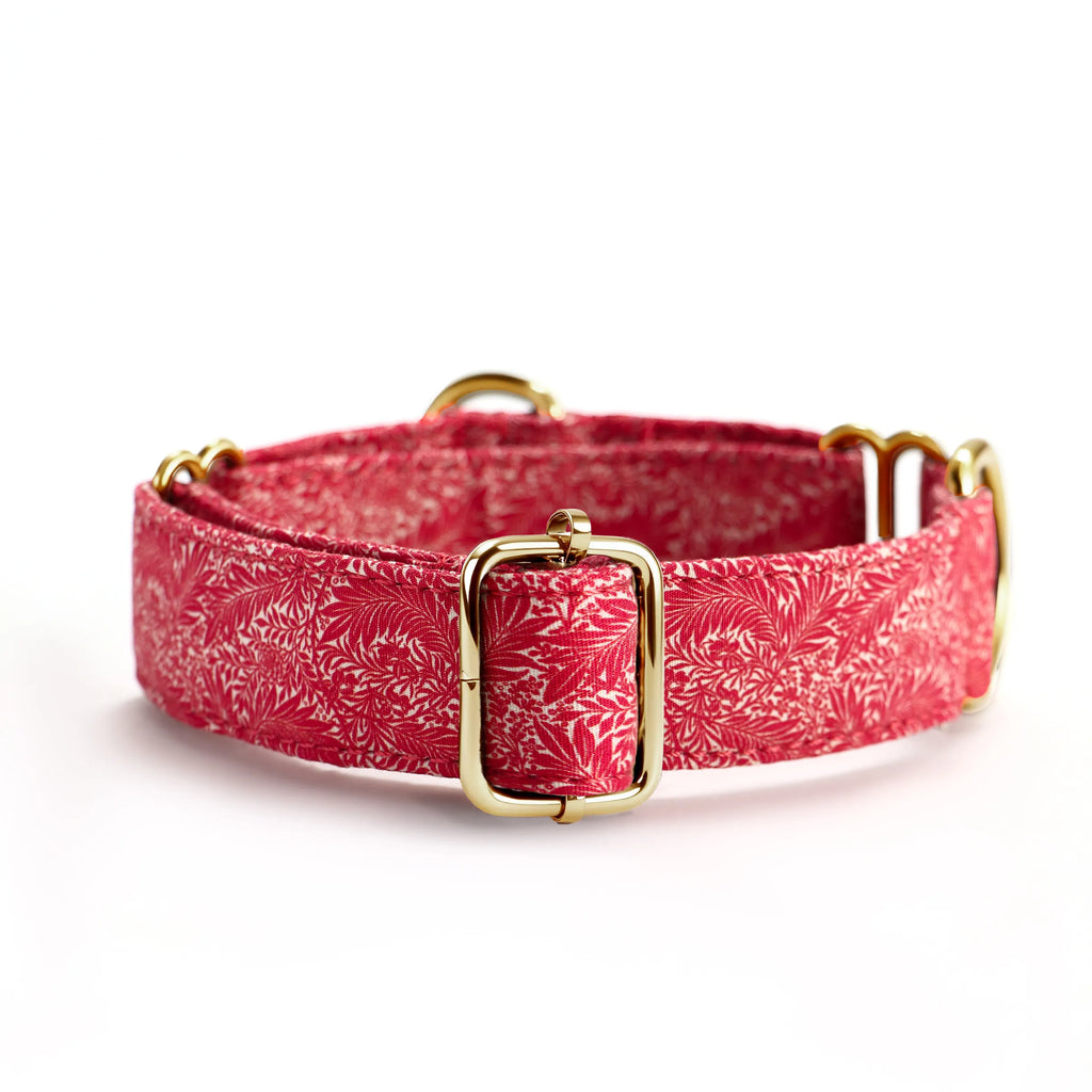 100% Cotton Martingale Dog Collar Gold Larkspur back