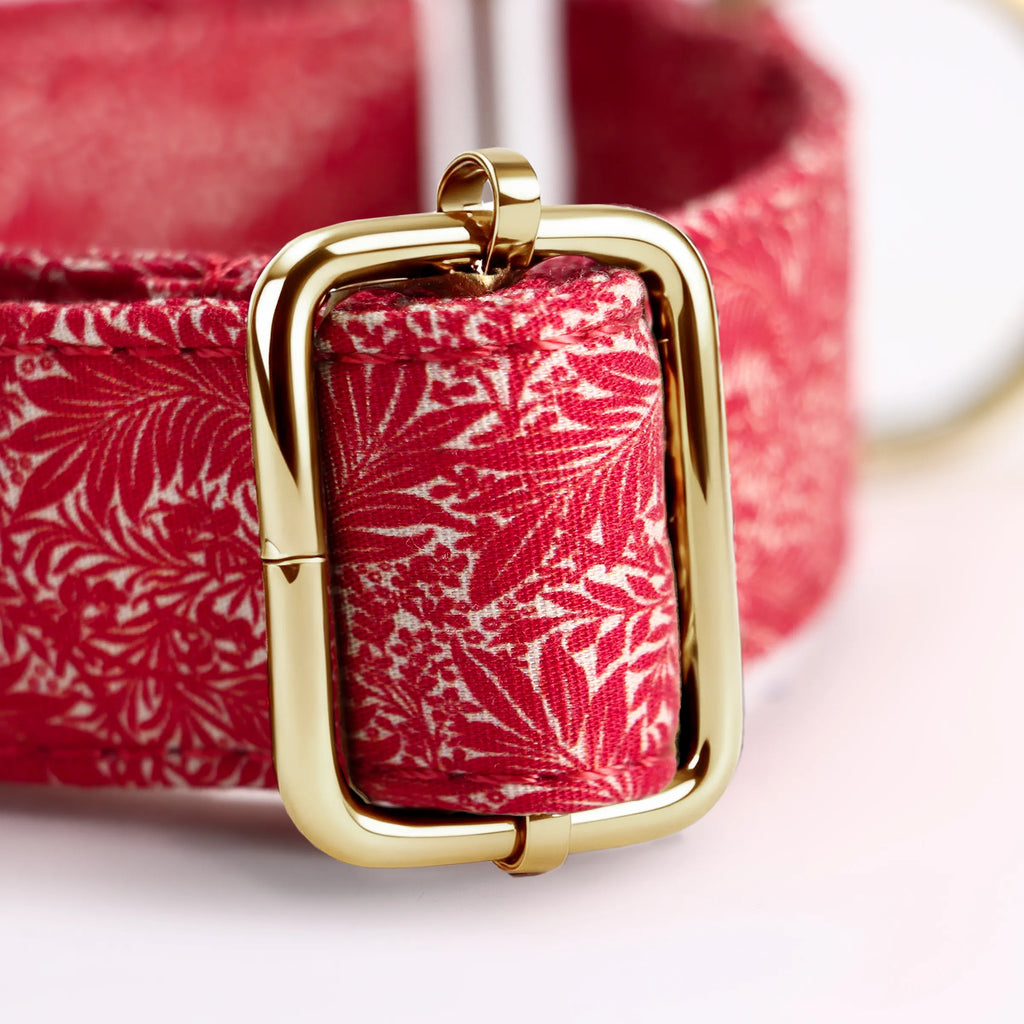 100% Cotton Martingale Dog Collar Gold Larkspur hardware