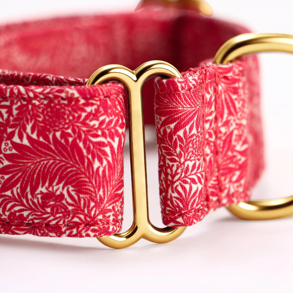 100% Cotton Martingale Dog Collar Gold Larkspur detail
