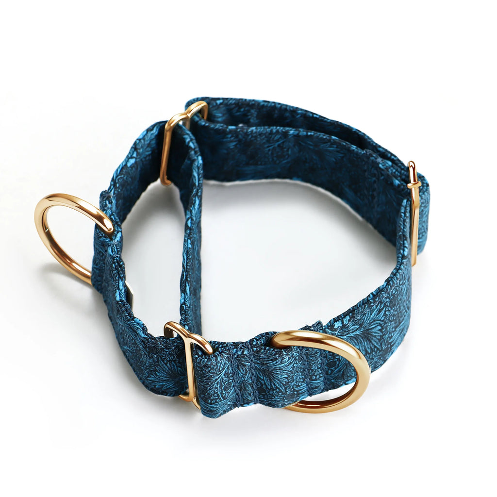 100% Cotton Martingale Dog Collar Gold Marigold main