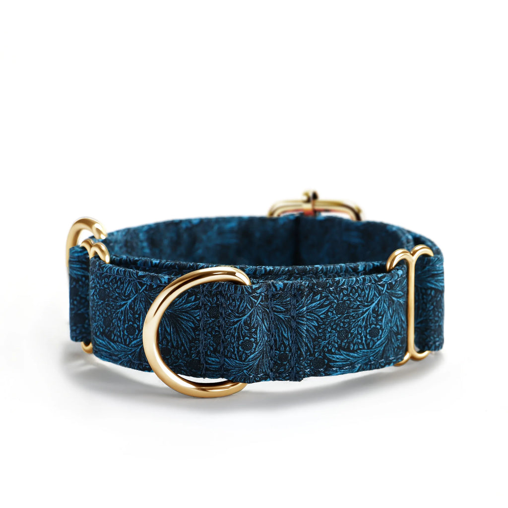 100% Cotton Martingale Dog Collar Gold Marigold front