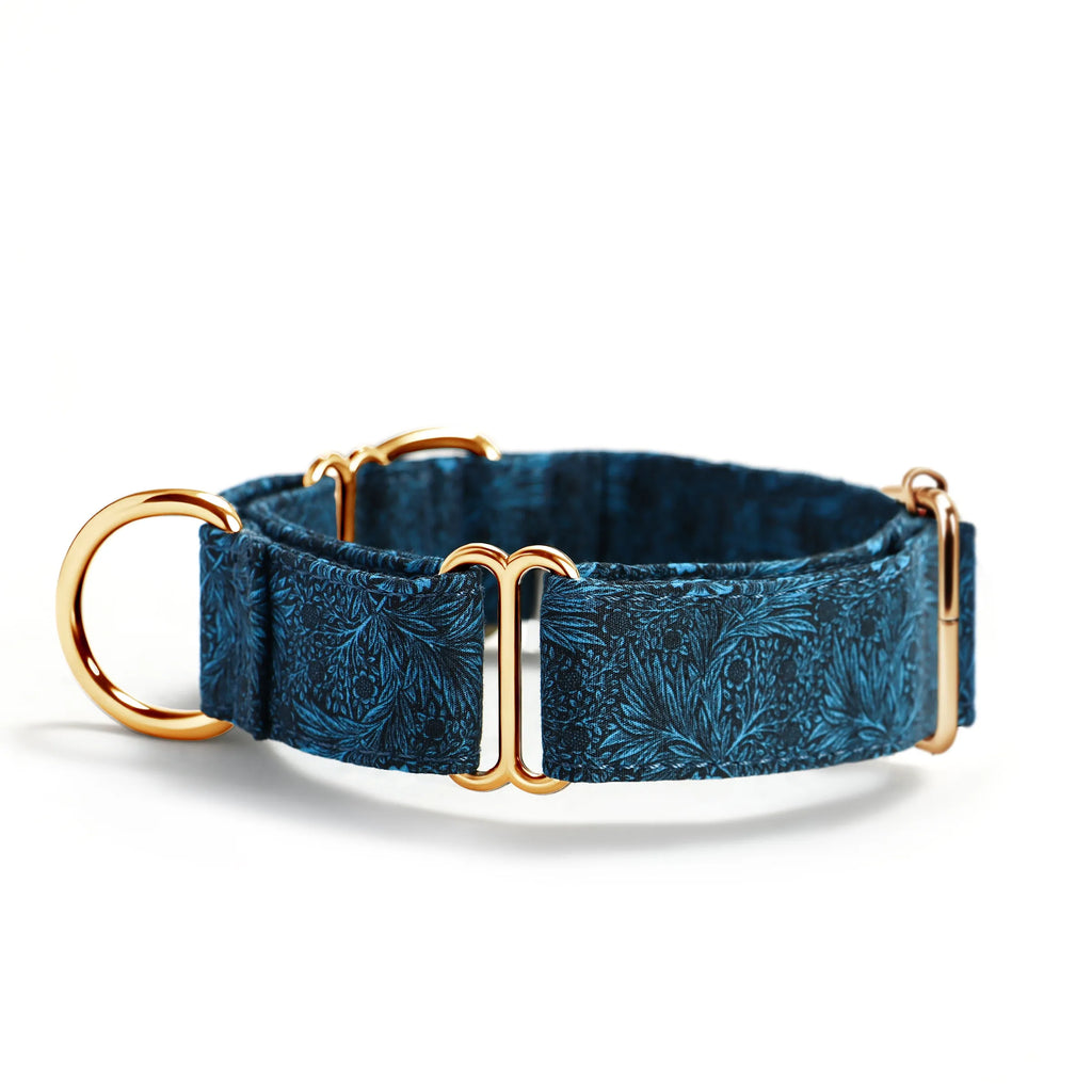 100% Cotton Martingale Dog Collar Gold Marigold side