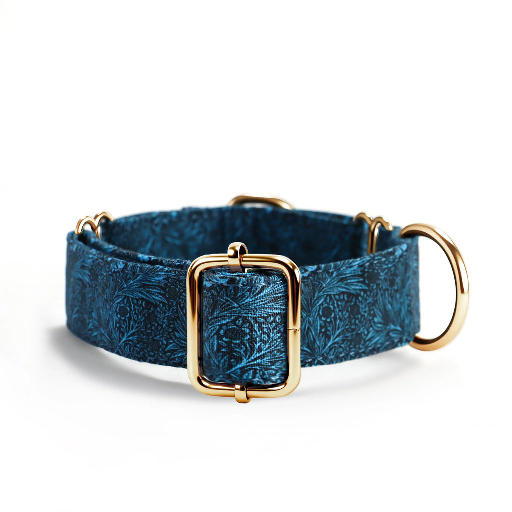 100% Cotton Martingale Dog Collar Gold Marigold back