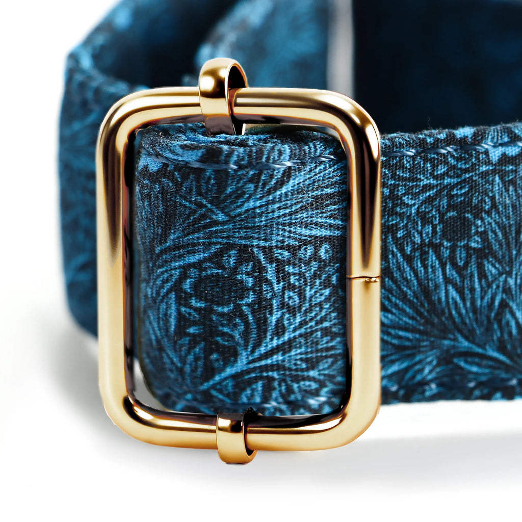 100% Cotton Martingale Dog Collar Gold Marigold hardware