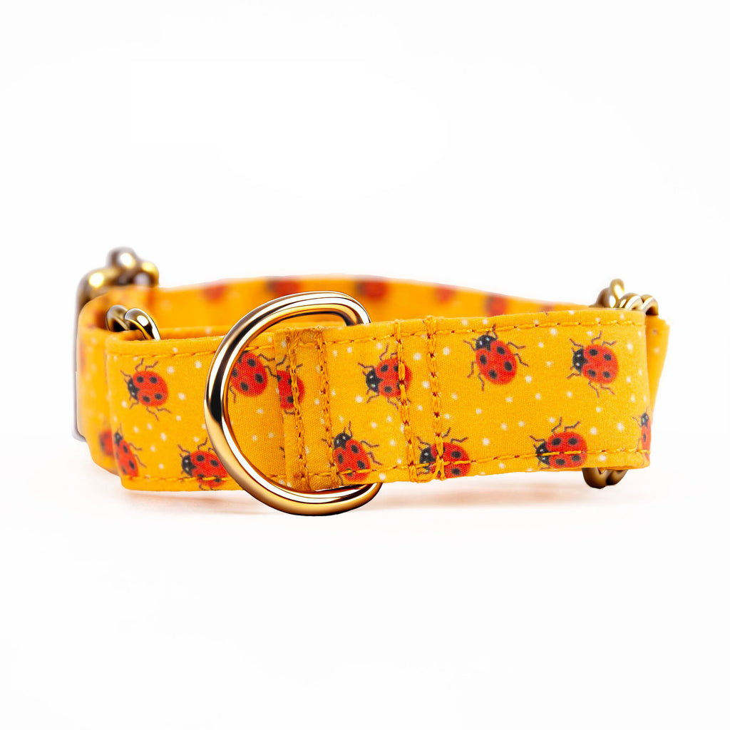 100% Cotton Martingale Dog Collar Gold Ladybug front