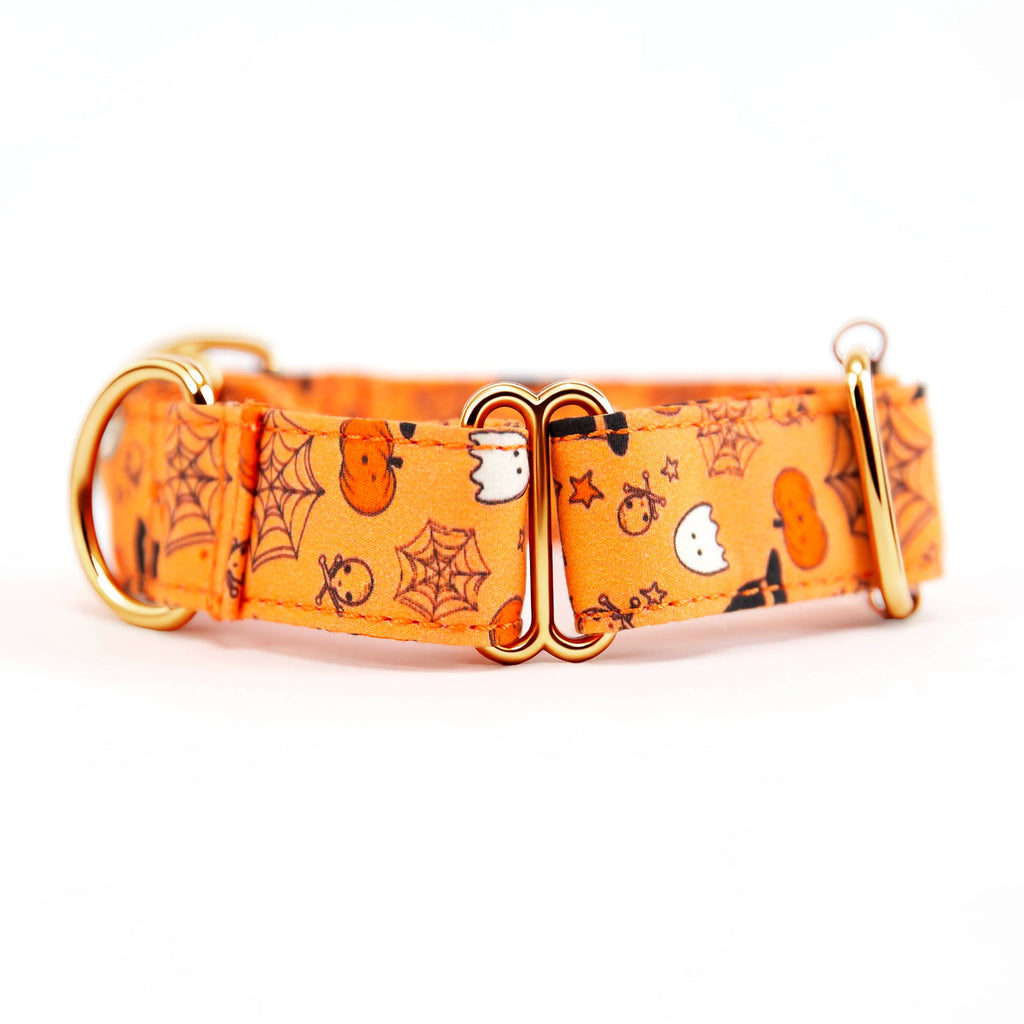 100% Cotton Martingale Dog Collar Gold Magic Halloween side