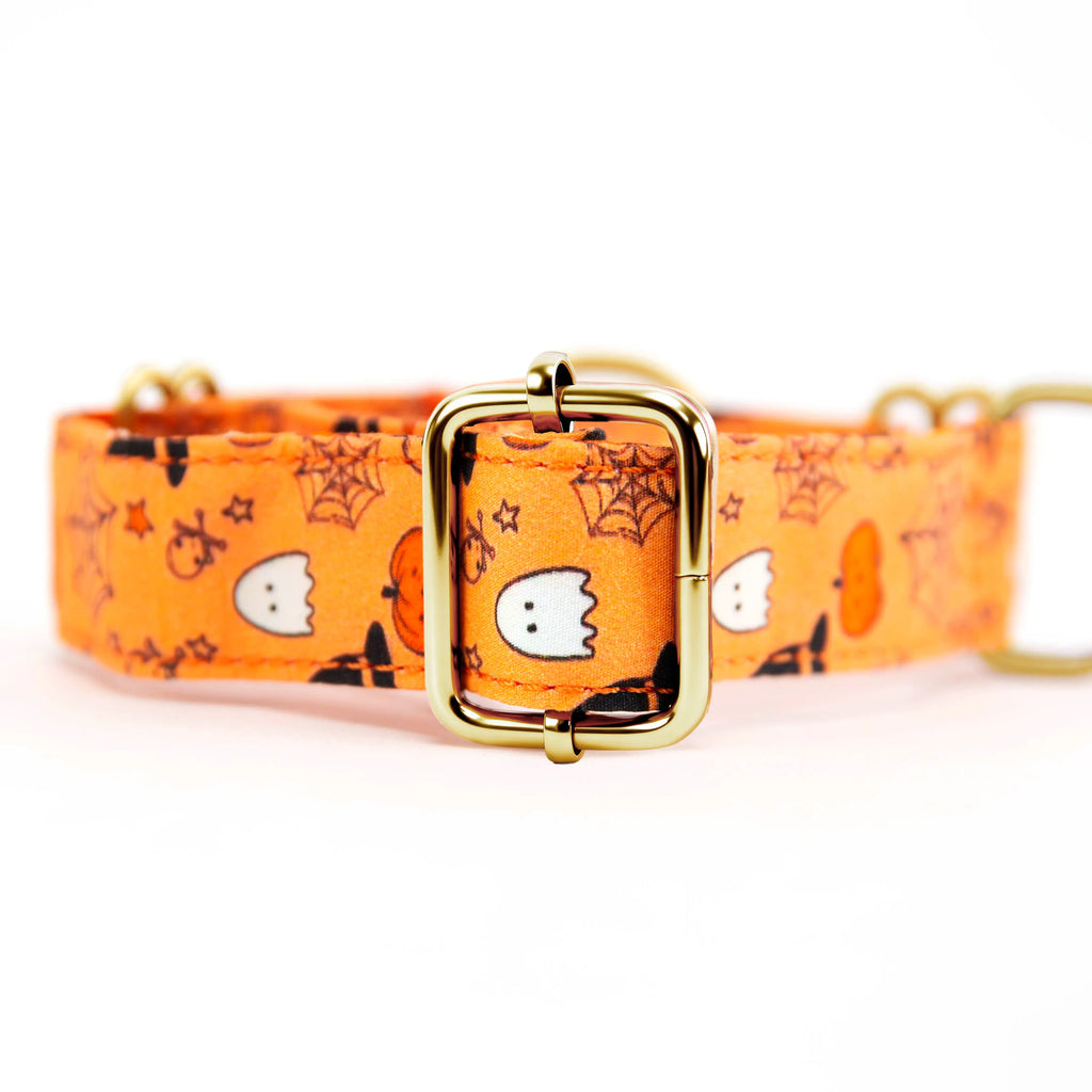 100% Cotton Martingale Dog Collar Gold Magic Halloween back