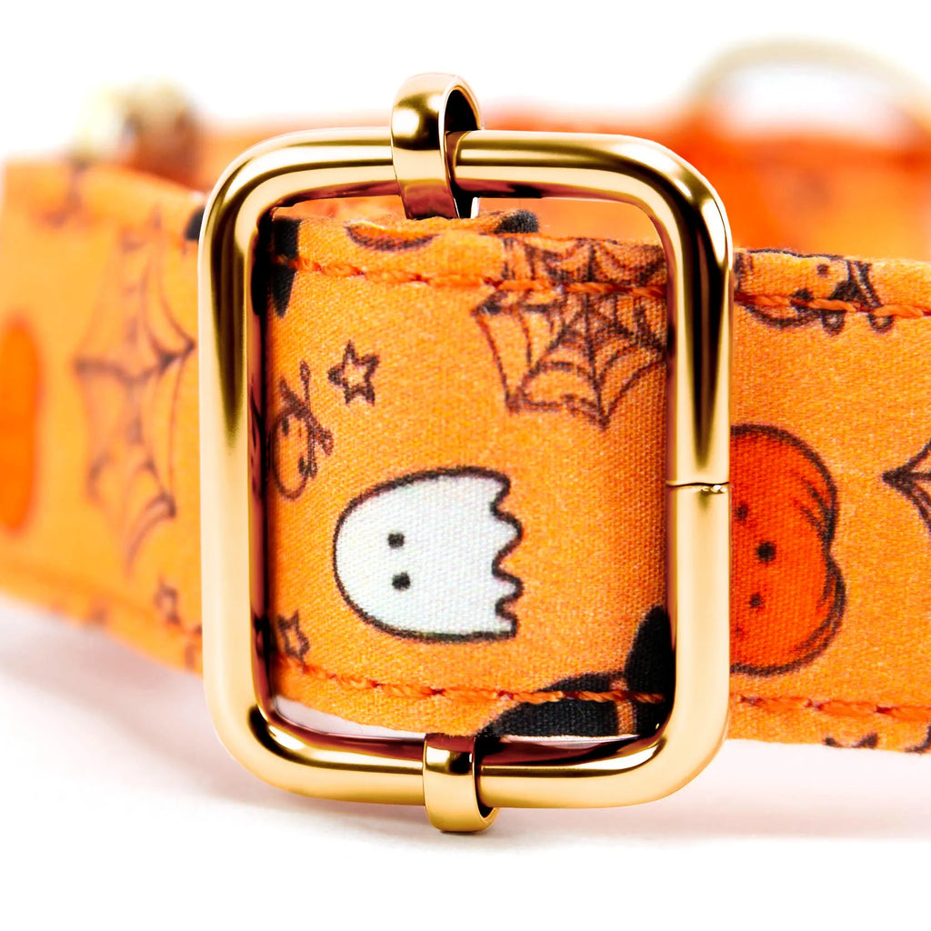 100% Cotton Martingale Dog Collar Gold Magic Halloween hardware