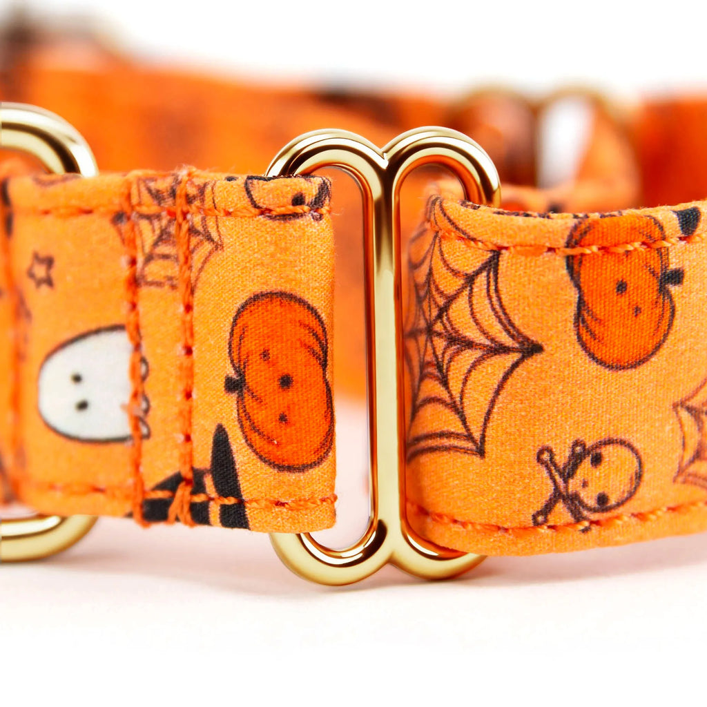 100% Cotton Martingale Dog Collar Gold Magic Halloween detail