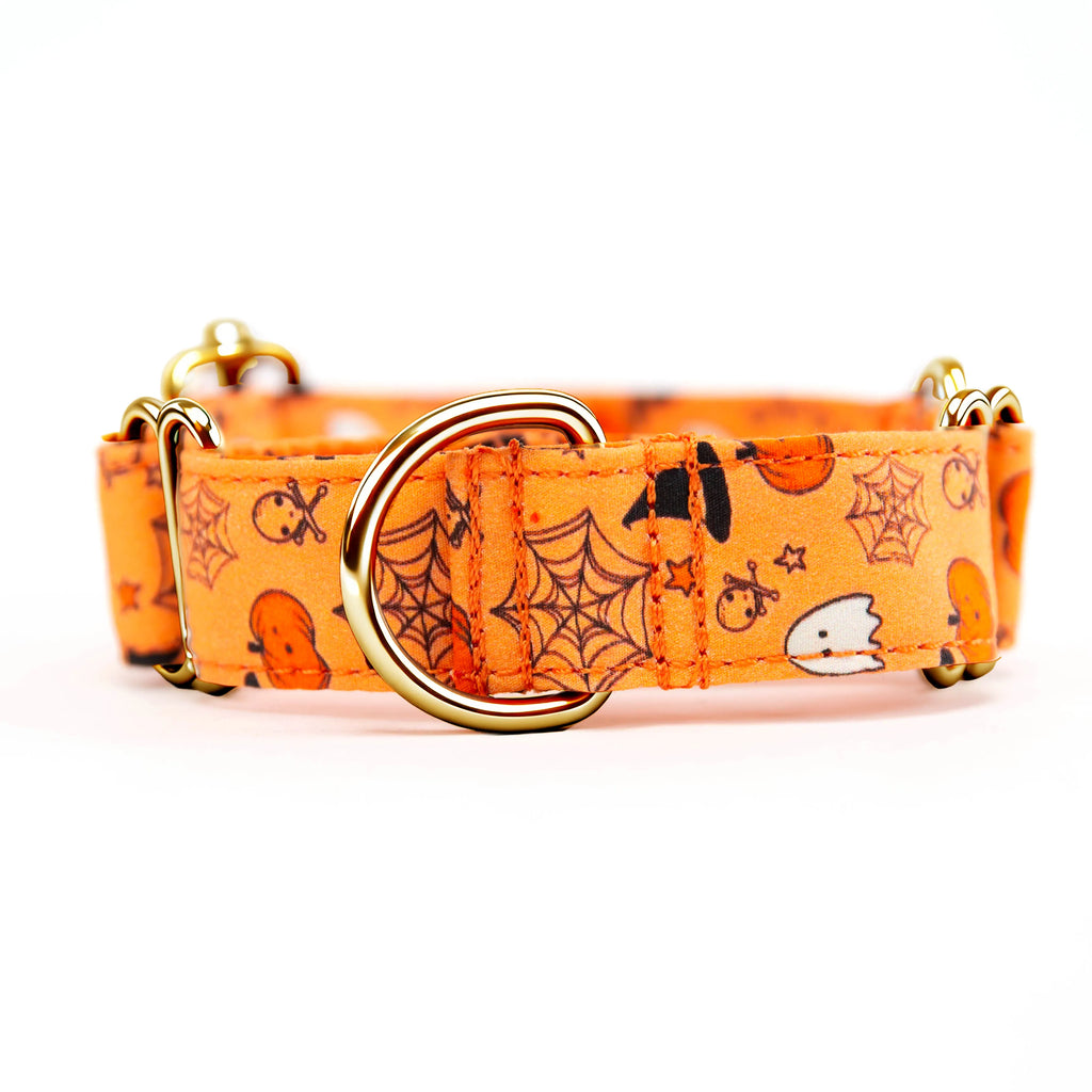 100% Cotton Martingale Dog Collar Gold Magic Halloween front