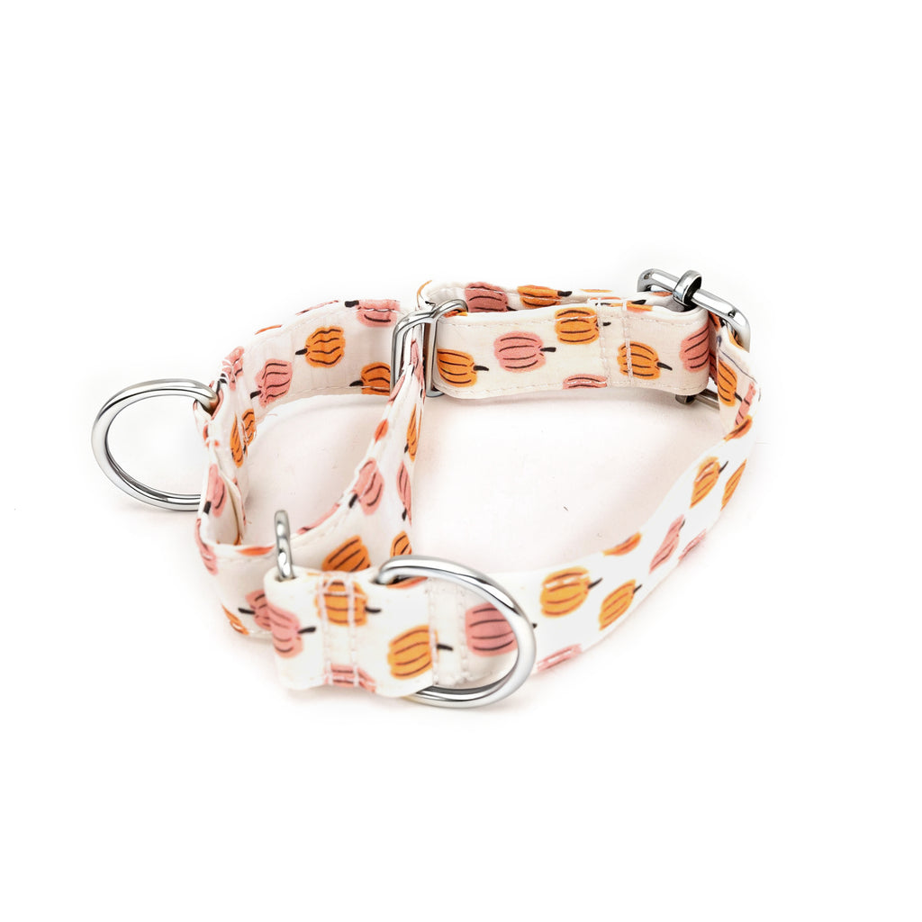 100% Cotton Martingale Dog Collar Silver Love Halloween main