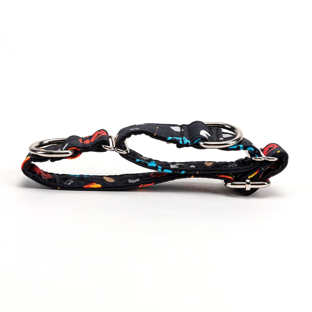 100% Cotton Martingale Dog Collar Silver Hunger games folded