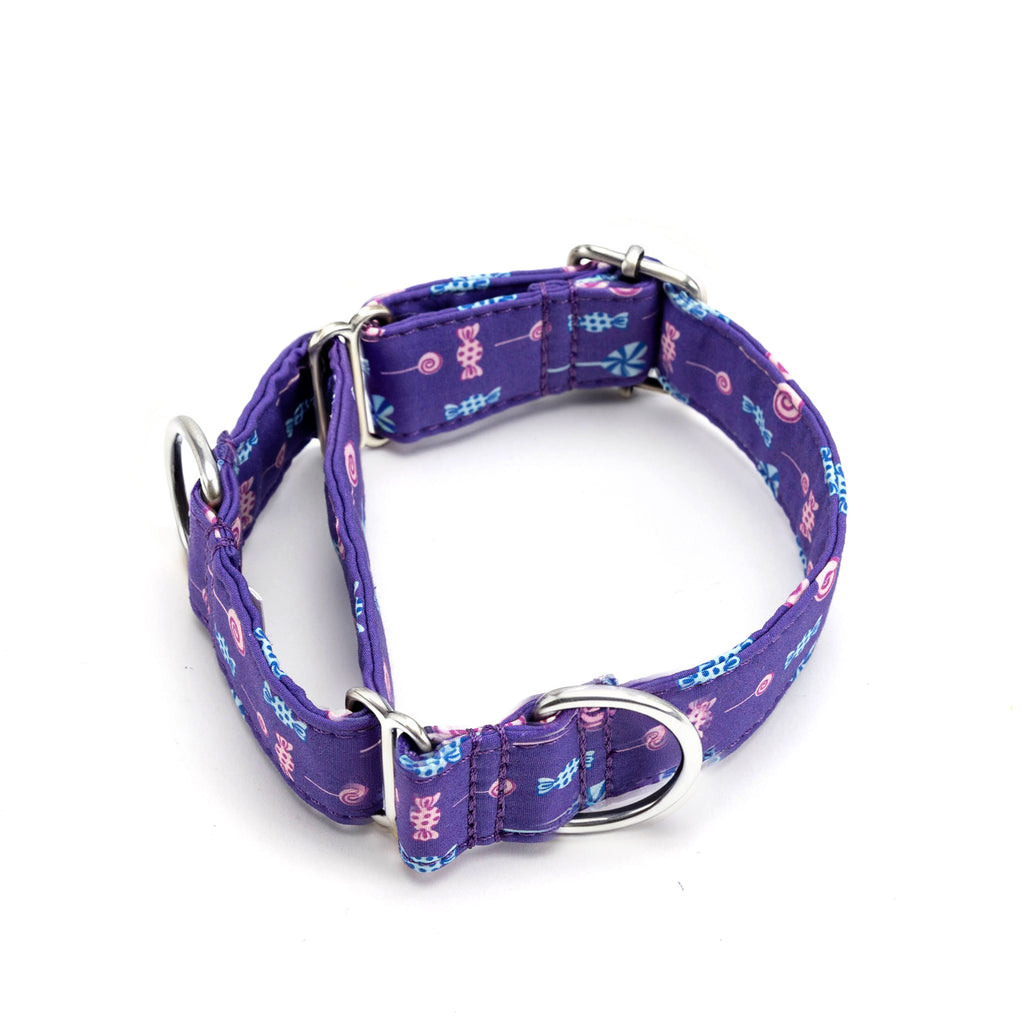 Martingale Purple Dog Collar With Silver Hardware Lollipop main