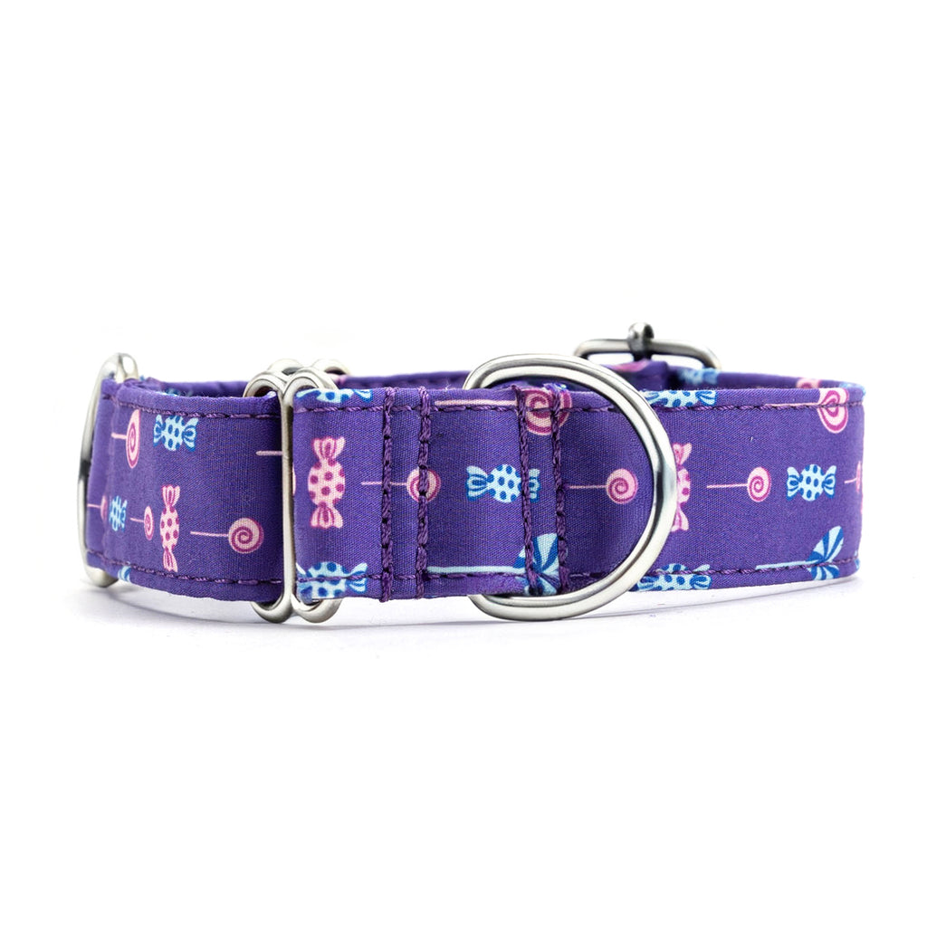 Martingale Purple Dog Collar With Silver Hardware Lollipop front
