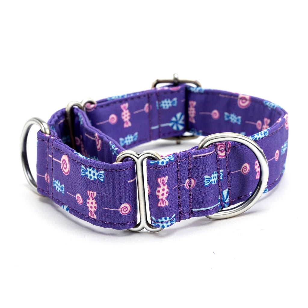 Martingale Purple Dog Collar With Silver Hardware Lollipop side