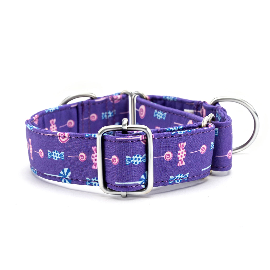 Martingale Purple Dog Collar With Silver Hardware Lollipop back