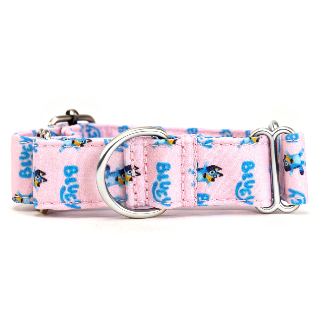 100% Cotton Martingale Dog Collar Silver Bluey front
