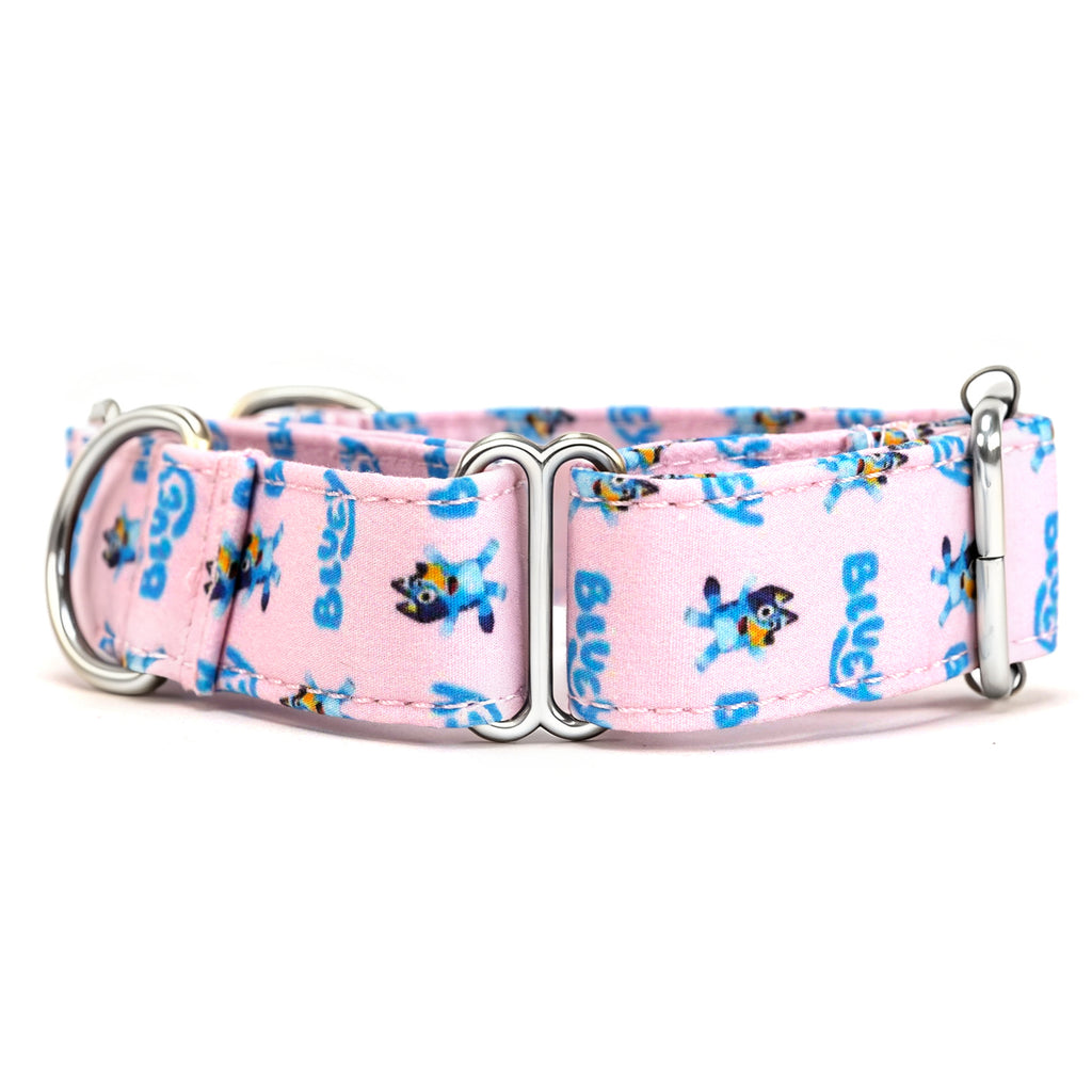 100% Cotton Martingale Dog Collar Silver Bluey side