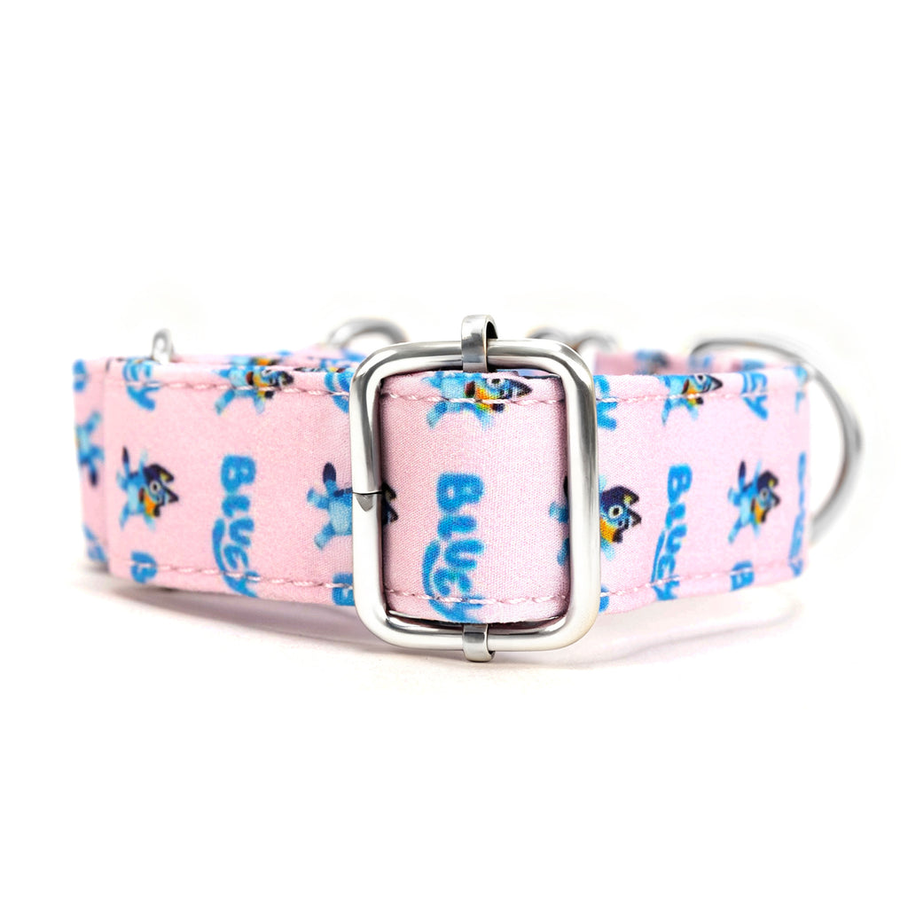 100% Cotton Martingale Dog Collar Silver Bluey back