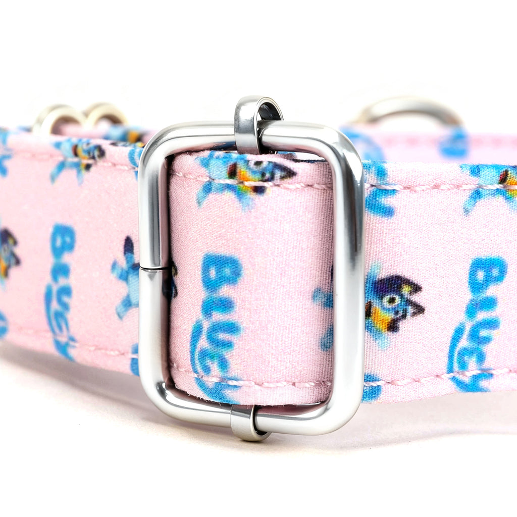 100% Cotton Martingale Dog Collar Silver Bluey hardware