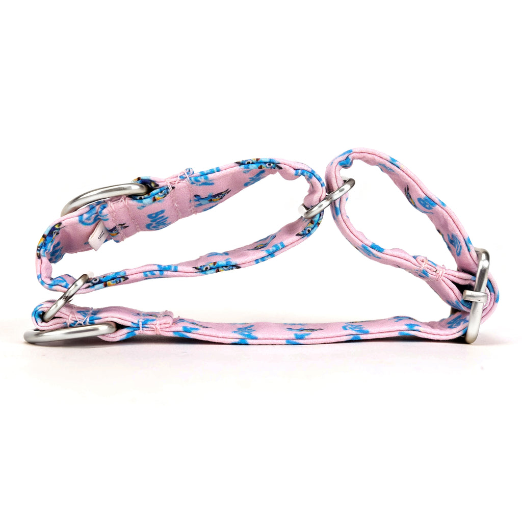 100% Cotton Martingale Dog Collar Silver Bluey folded